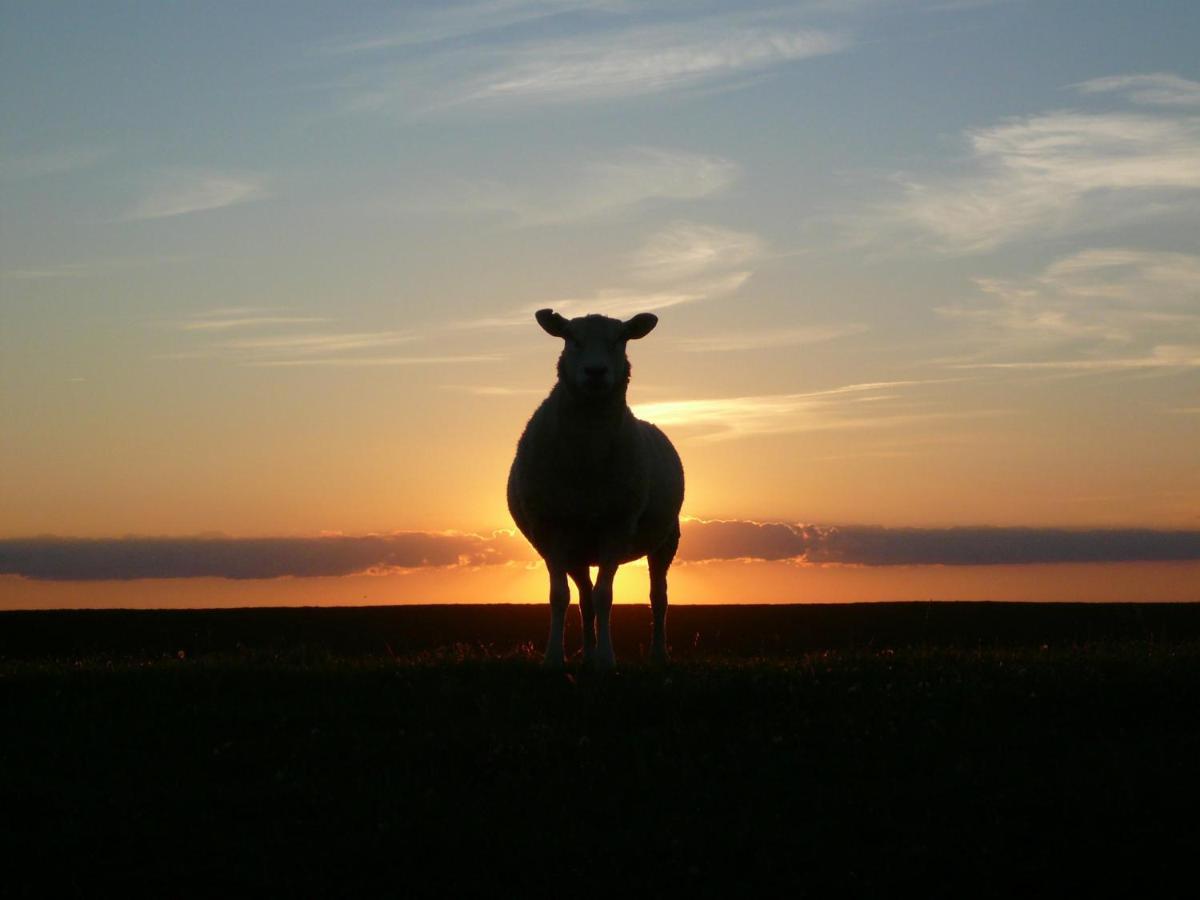 Nordsee-Nest Ostochtersum ภายนอก รูปภาพ
